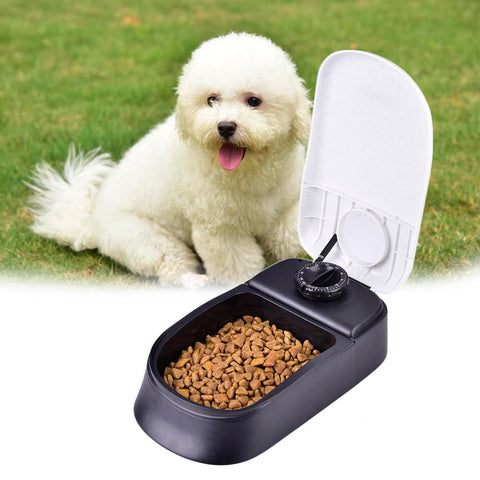 Timing Automatic Feeder For pet Dog